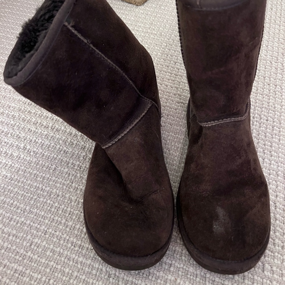 Chocolate Brown Uggs